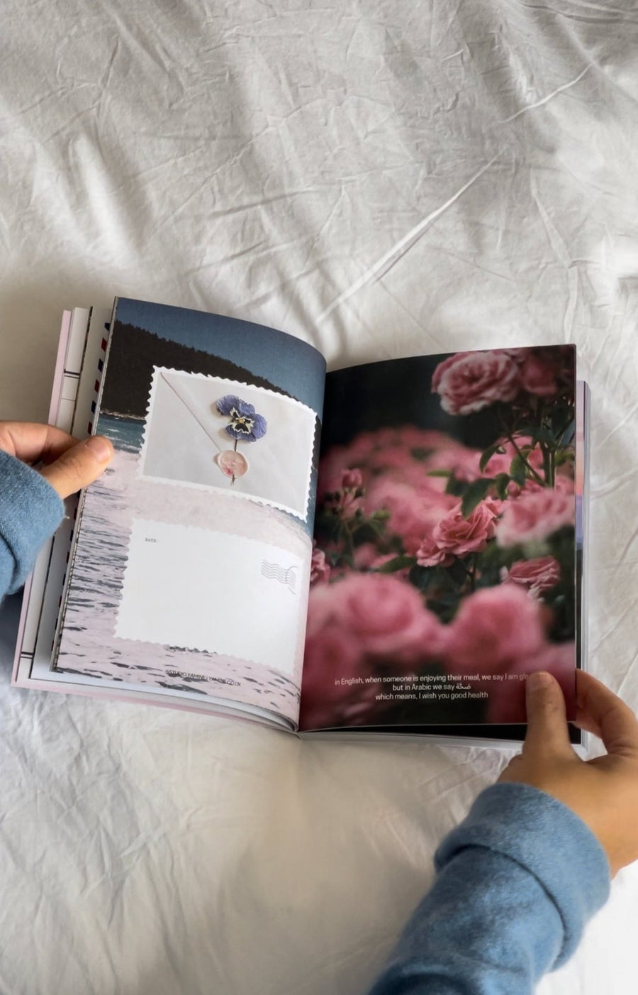In Arabic We Say: Postcard Book Edition