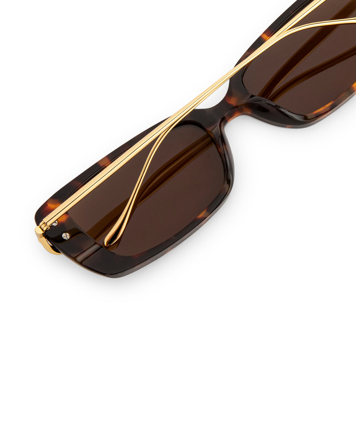 Zina Sunglasses - Tortoise