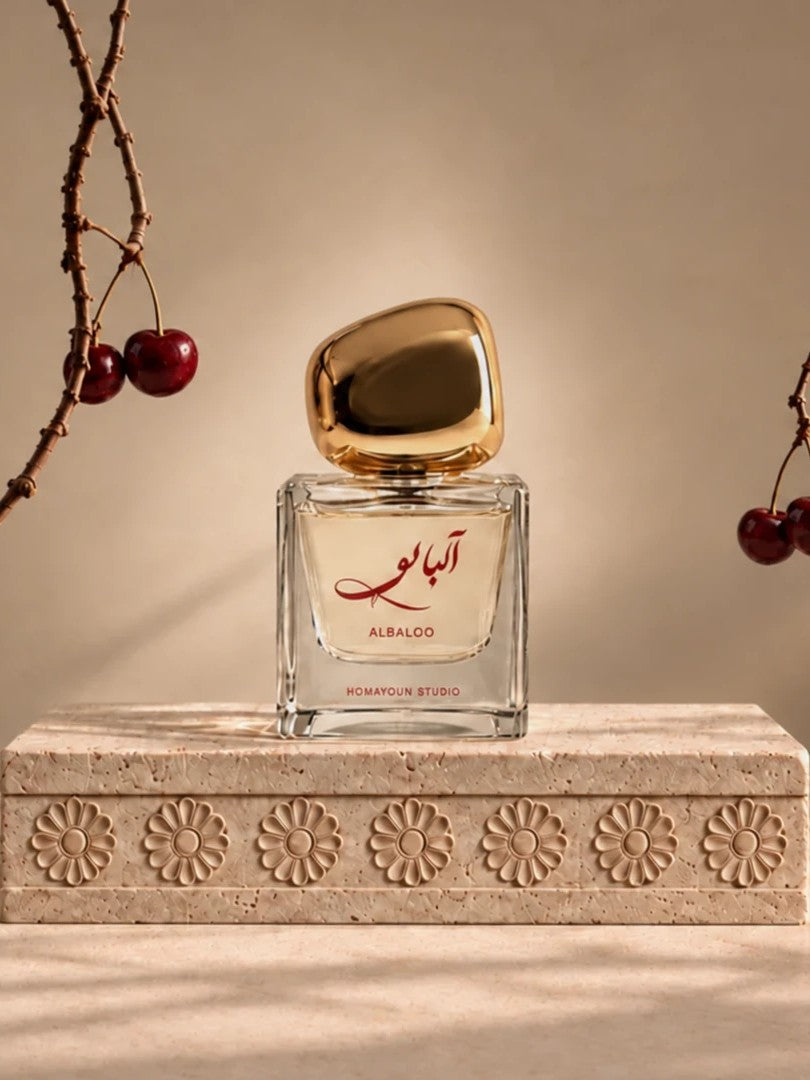 Homayoun Studio