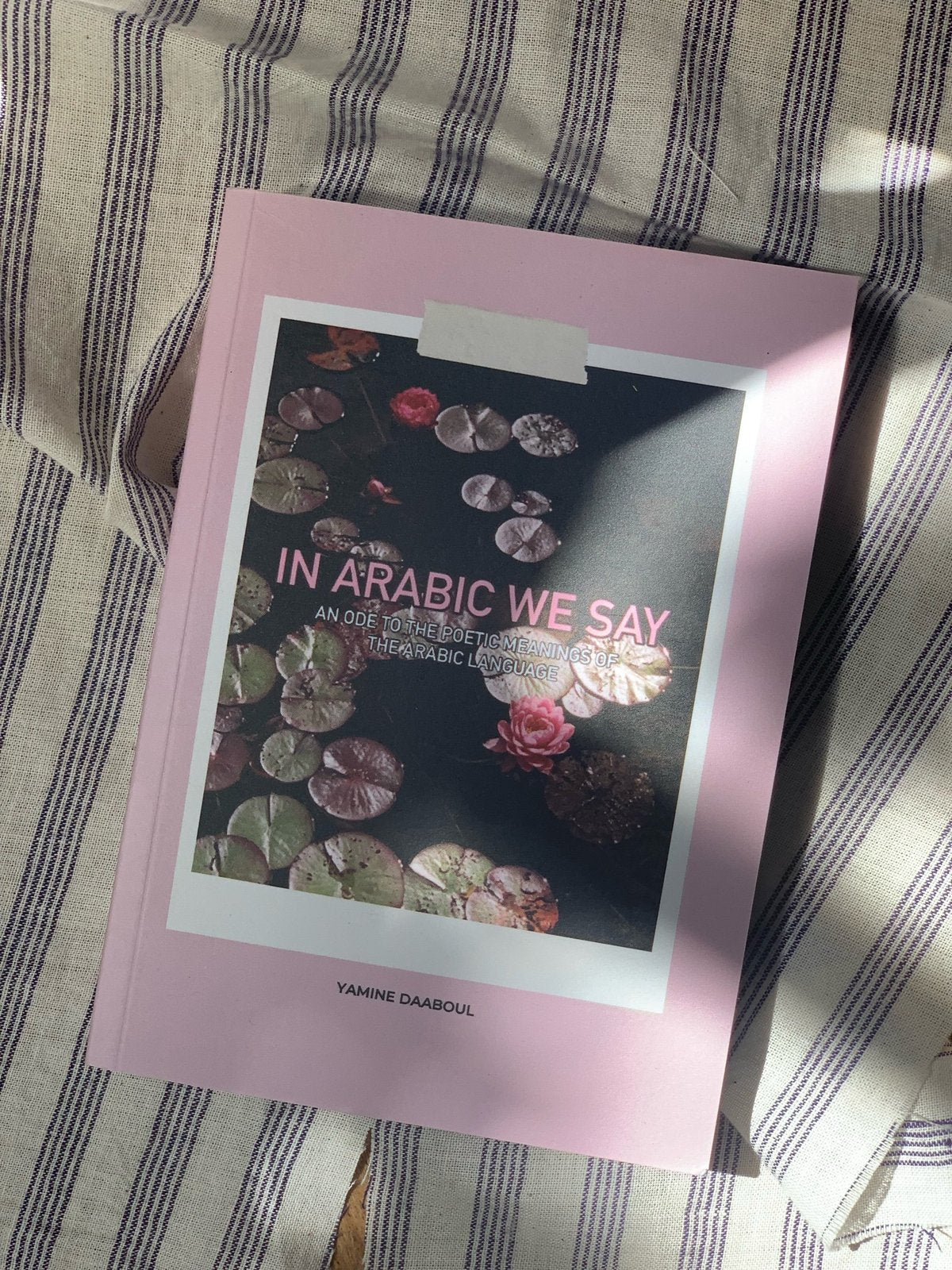 In Arabic We Say: Postcard Book Edition