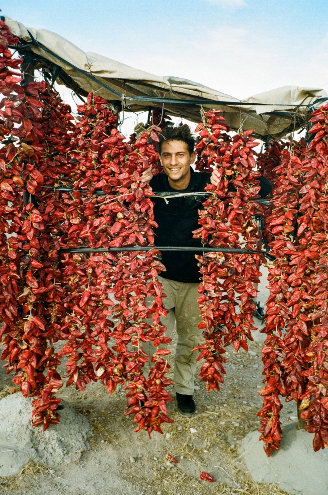 Lamiri Harissa 190g