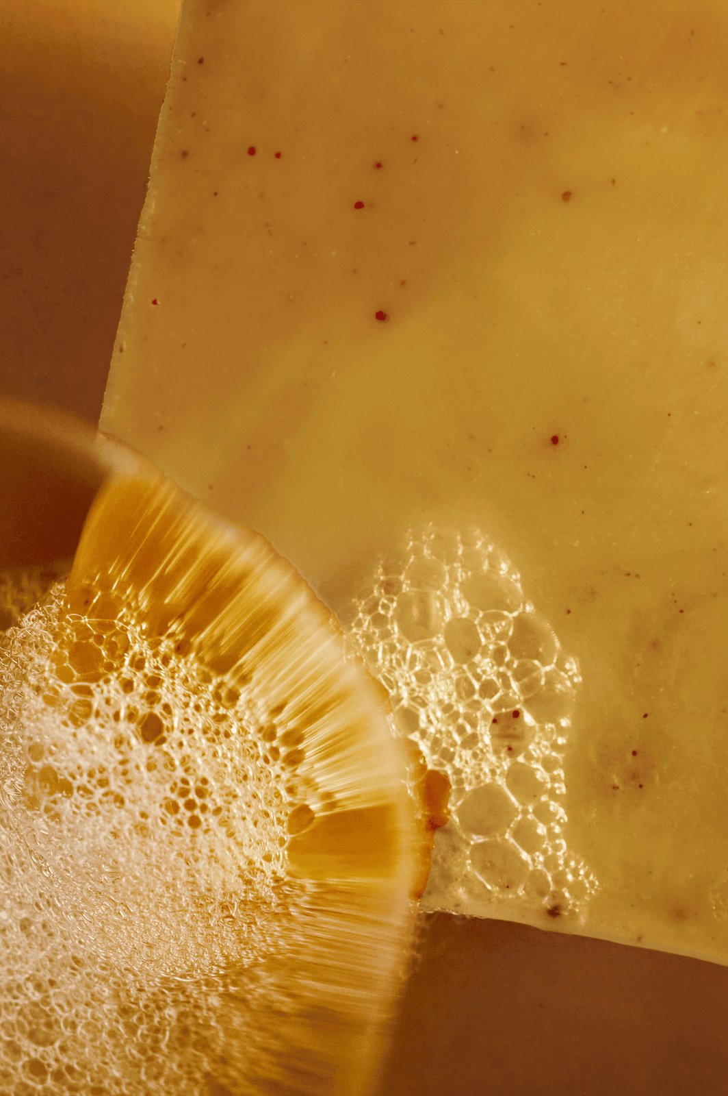 Turmeric & Frankincense Soap with Donkey Milk & Argan Oil