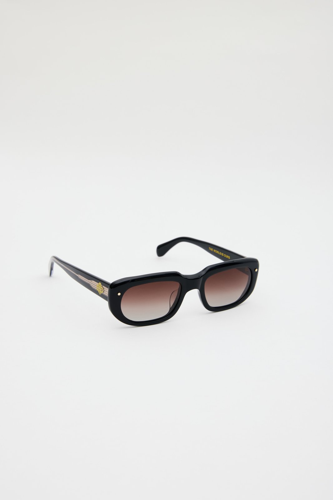 Vision Sunglasses