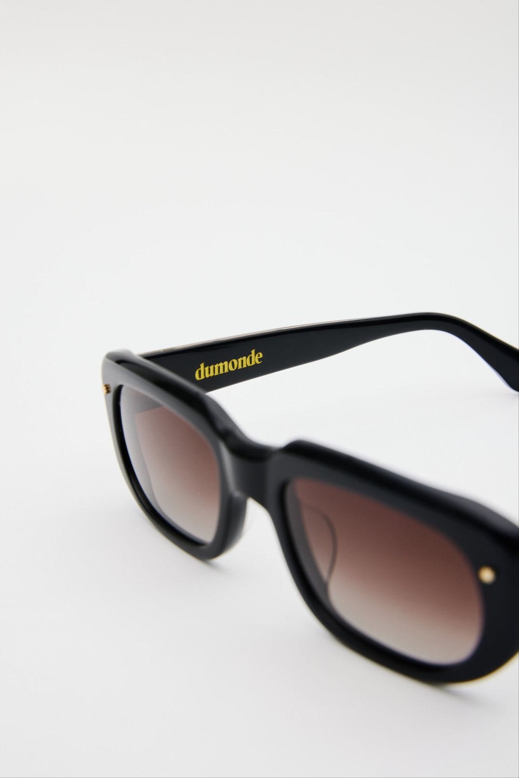 Vision Sunglasses