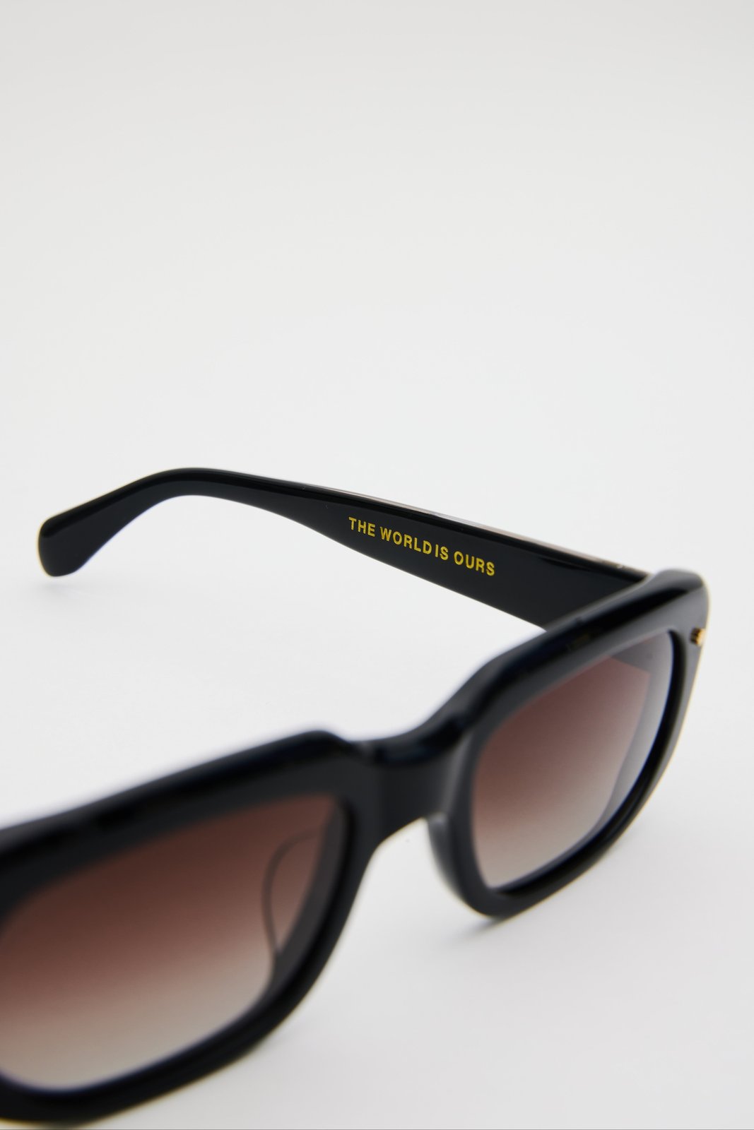 Vision Sunglasses